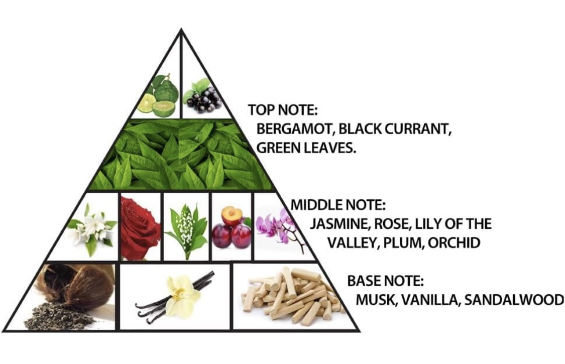 L’Aventure Gold by Al Haramain 5 L’Aventure Gold by Al Haramain - Imagen 4